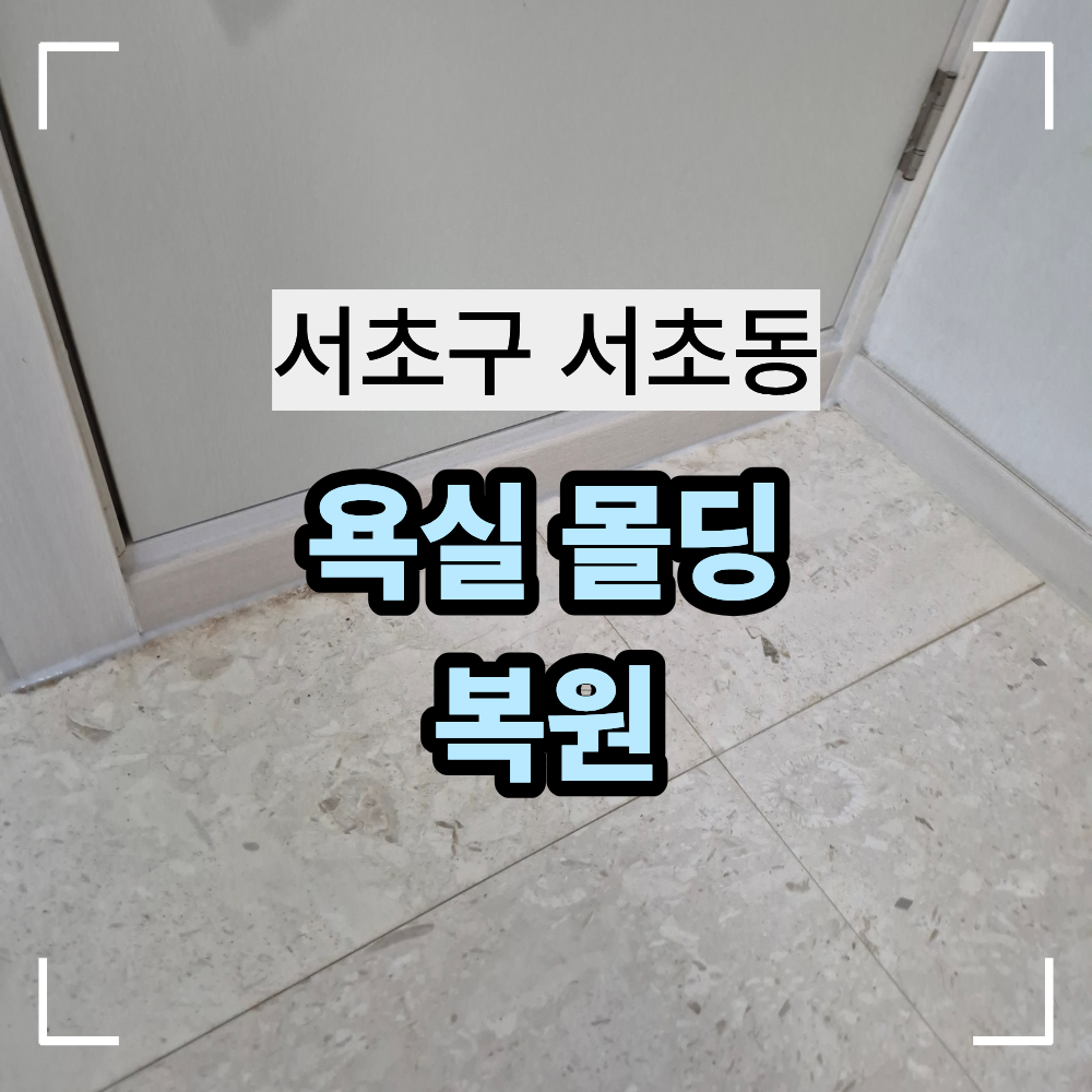 서초구 서초동 빌라 욕실 몰딩 복원 수리 방법